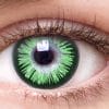 Chic Green Envy