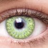Chic Gemstone Green Contacts Chic Gemstone Green Contacts