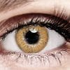 Bella Hazel Color Contacts Bella Hazel Color Contacts