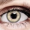 Bella Brown Chestnut Color Contact Lenses Bella Brown Chestnut Color Contact Lenses