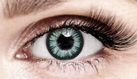 Bella Gray Plus Colored Contact Lenses