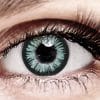 Bella Gray Plus Colored Contact Lenses Bella Gray Plus Colored Contact Lenses