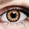 Bella Honey Plus Color Contacts Bella Honey Plus Color Contacts