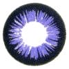 Color Max Violet
