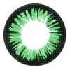 Chic Green Envy