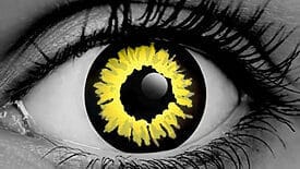 WickedEyez Black Wolf