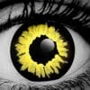 WickedEyez Black Wolf