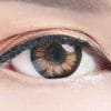 Color Max Brown Lenses Color Max Brown Lenses