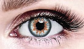 Bella Platinum Gray Colored Contacts - Image 1