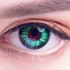 Color Max Green Color Max Green