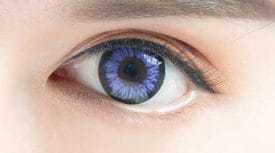 Color Max Violet Lenses