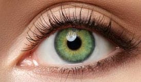 Jade Green Chic Lenses