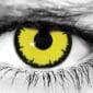 Angelic Yellow Halloween Contacts