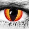 Banshee Contact Lenses