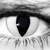 White Cat Halloween Contacts