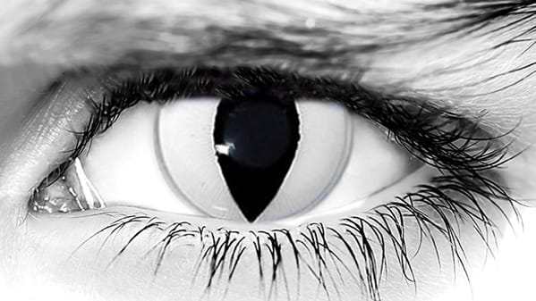 White Cat Halloween Contacts
