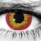 Red Wolf Halloween Contact Lenses