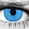Shiva Halloween Contacts