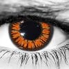 Golden Twilight Halloween Contacts