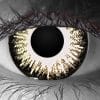 Zombie Undead Halloween Contacts