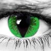 Green Reptile Halloween Contacts