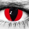 Red Cat Halloween Contacts
