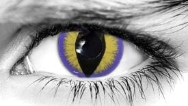 Seducer Purple Halloween Contact Lenses