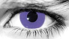 Night Vixen Halloween Contacts