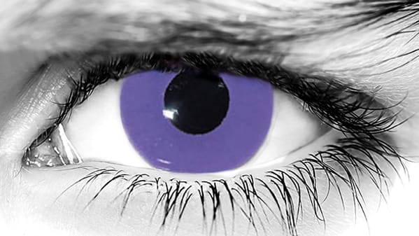 Night Vixen Halloween Contacts