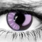 Meioh Contact Lenses