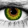 Mad Hatter Halloween Contact Lenses