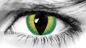 Creeper Halloween Contact Lenses