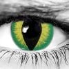 Creeper Halloween Contact Lenses