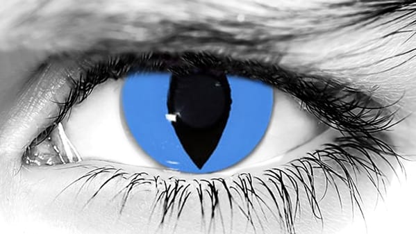 Cheshire Cat Halloween Contacts