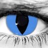 Cheshire Cat Halloween Contacts