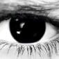 Black Out Halloween Contacts