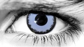 Lestat Halloween Contacts