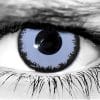 Lestat Halloween Contacts