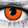 Spawnn Lenses Spawnn Lenses