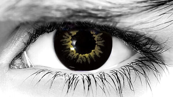 black wolf contact lenses