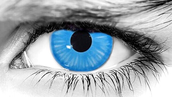 shiva blue contact lenses