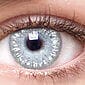 Chic Sterling Gray Contact Lenses